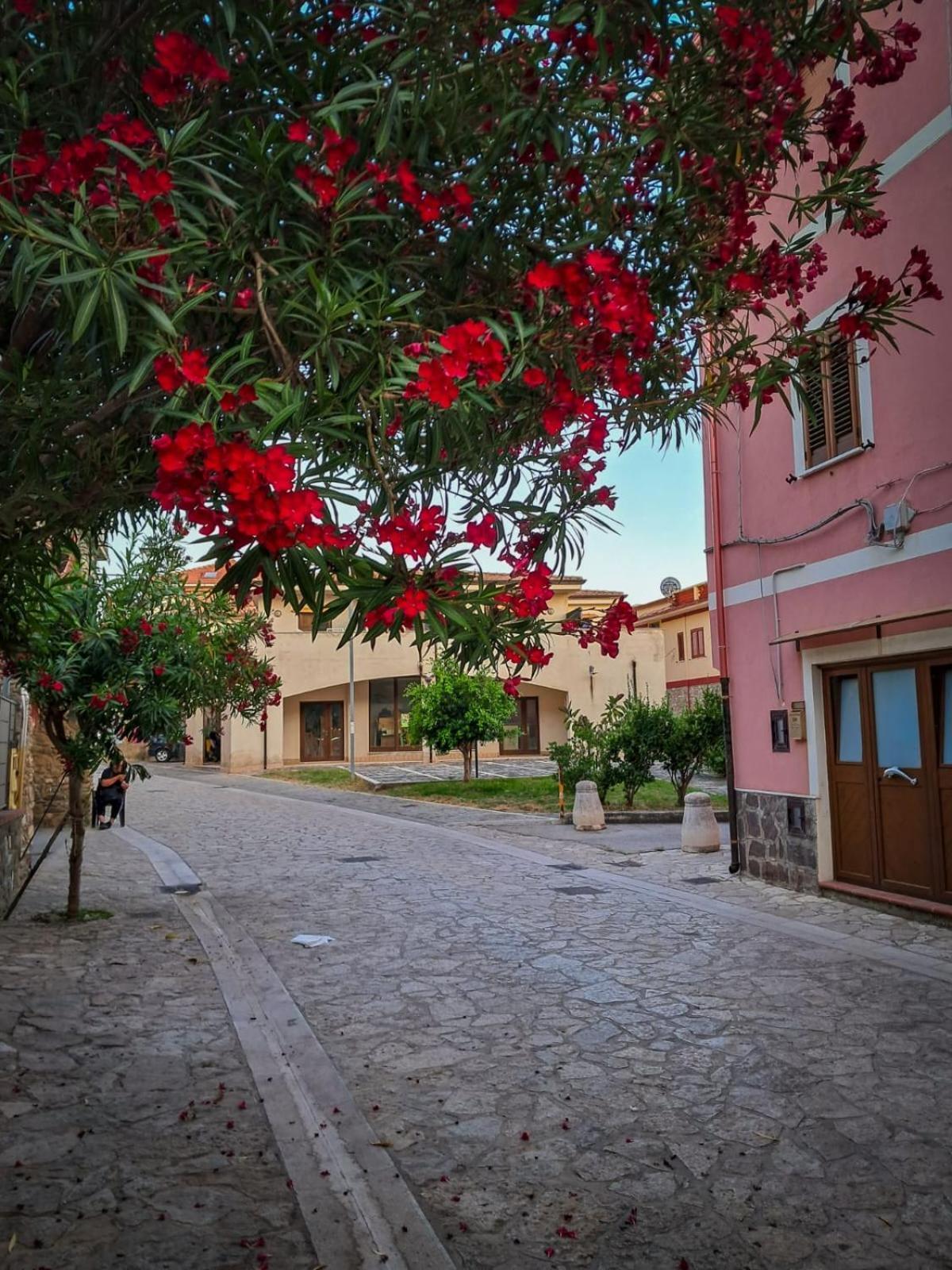 Appartamento La Coffa Agnone Cilento Екстер'єр фото